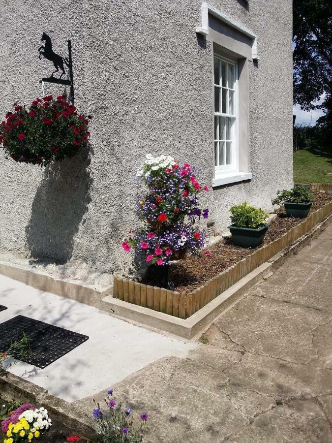 Roosecote Guest House Barrow-in-Furness Kültér fotó